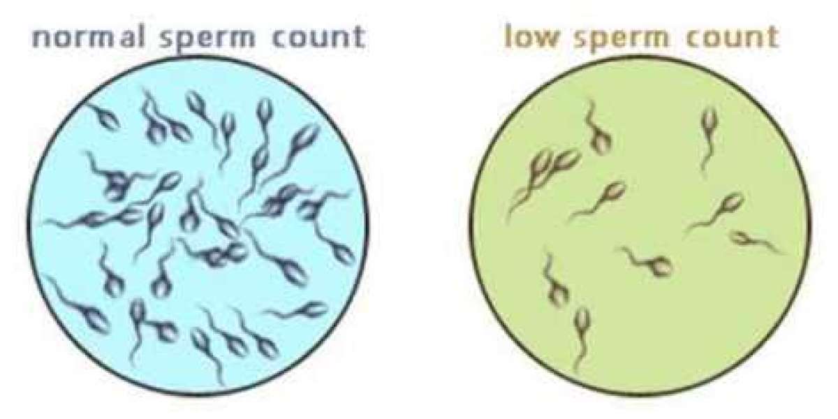 LOW SPERM COUNT AND HOW TO CURE IT - RANTWE