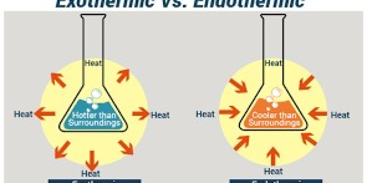 Exothermic VS Endothermic - What are Differences Between Exothermic And Endothermic?