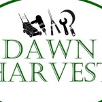 dawnharvest